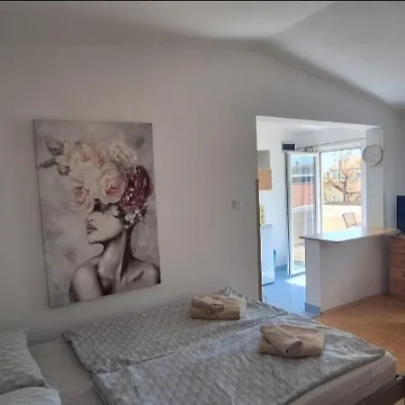 Apartements Maslina Appartamento Vir