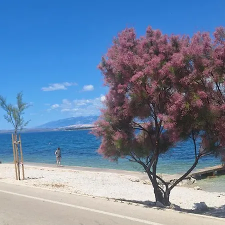 Appartamento Apartements Maslina *
